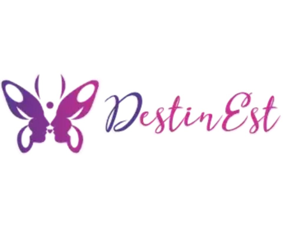 Portrait de Agence DESTIN'EST, Entreprise